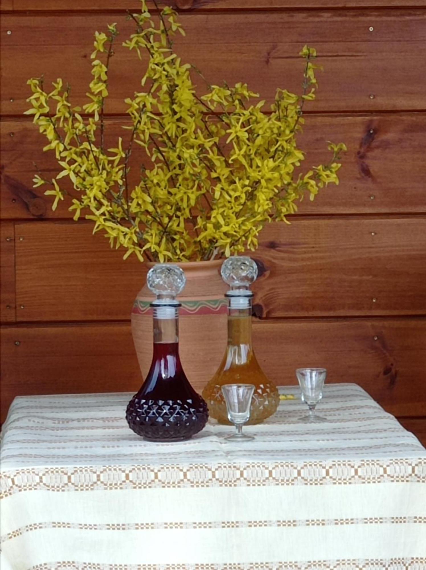 Holiday home Przy Siole Budy Bialowieza